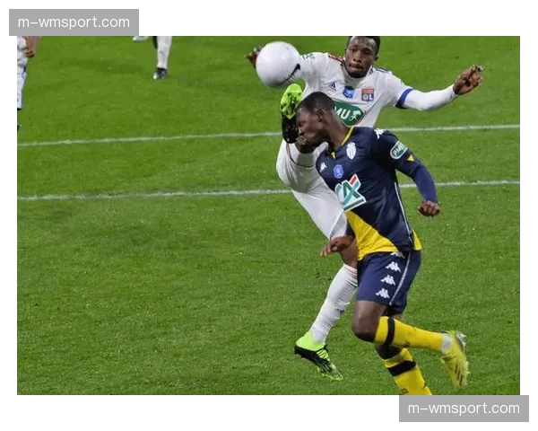 镜头聚焦：布雷斯特老将勒杜阿龙打入扳平球后指向看台上的家人