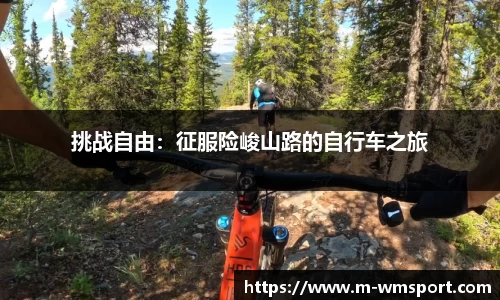 挑战自由：征服险峻山路的自行车之旅