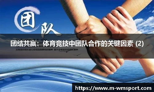 团结共赢：体育竞技中团队合作的关键因素 (2)