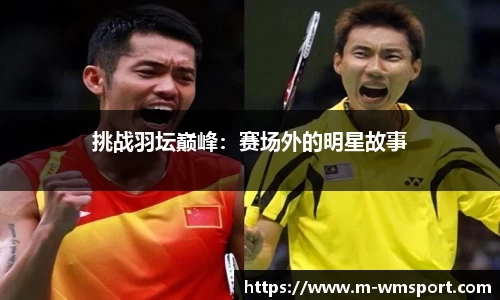 挑战羽坛巅峰：赛场外的明星故事